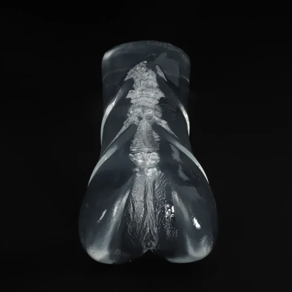 Âm đạo giả cầm tay trong suốt (520g)