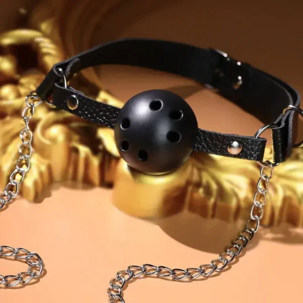 BỘ KHÓA MIỆNG KÈM DÂY XÍCH VÀ KẸP TI