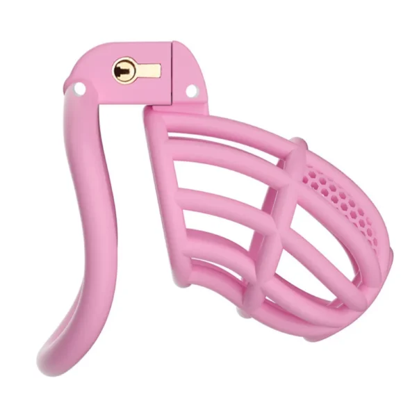 KHÓA DƯƠNG VẬT C755 HỒNG SIZE L (84G)