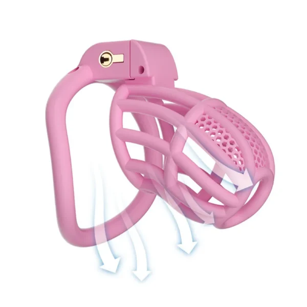 KHÓA DƯƠNG VẬT C755 HỒNG SIZE L (84G)