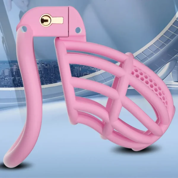 KHÓA DƯƠNG VẬT C755 HỒNG SIZE L (84G)