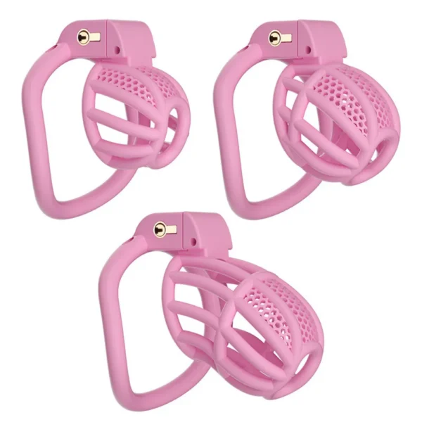 KHÓA DƯƠNG VẬT C755 HỒNG SIZE M (80G)