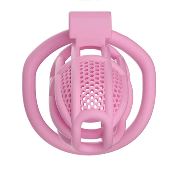 KHÓA DƯƠNG VẬT C755 HỒNG SIZE M (80G)