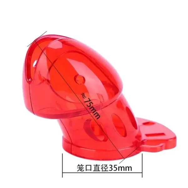 KHÓA DƯƠNG VẬT KÈM XUNG ĐIỆN ĐIỀU KHIỂN TỪ XA - ELECTRO CHASTITY PRO