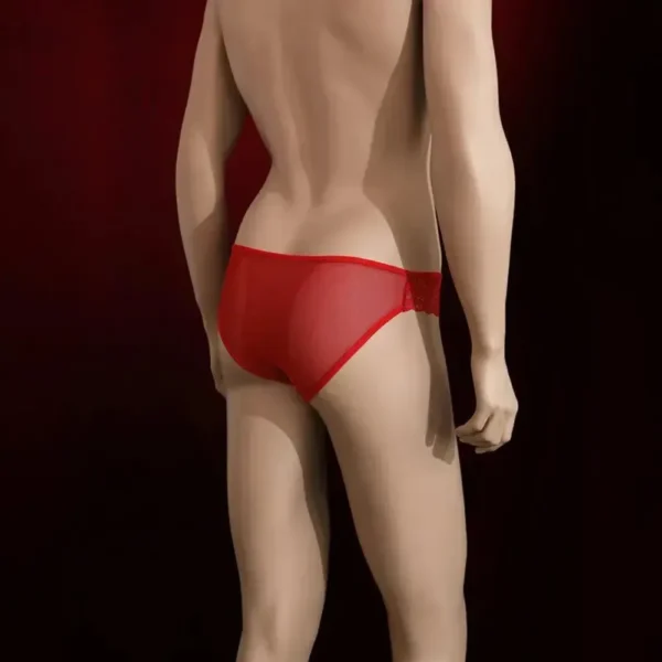 QUẦN LÓT NAM SEXY BS9114 – GỢI CẢM VÀ TINH TẾ