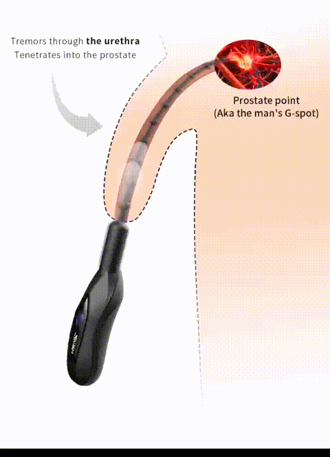 SOUNDING RUNG JEWSN - PHIÊN BẢN HẠT & TRƠN CAO CẤP